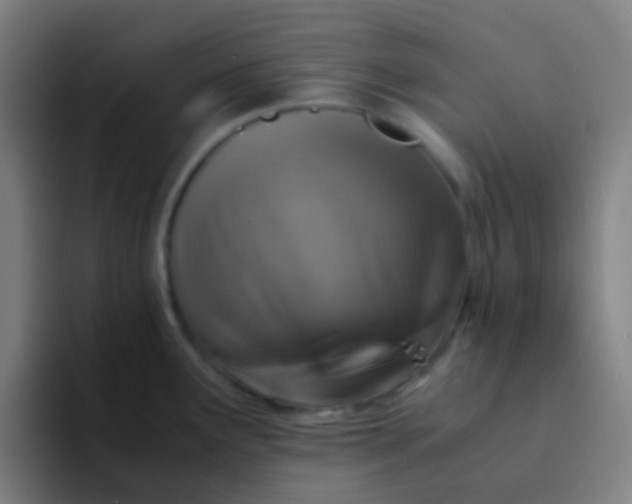 X0000094341291200711162002