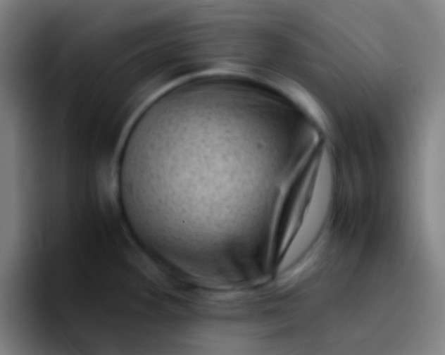 X0000094341292200711162002