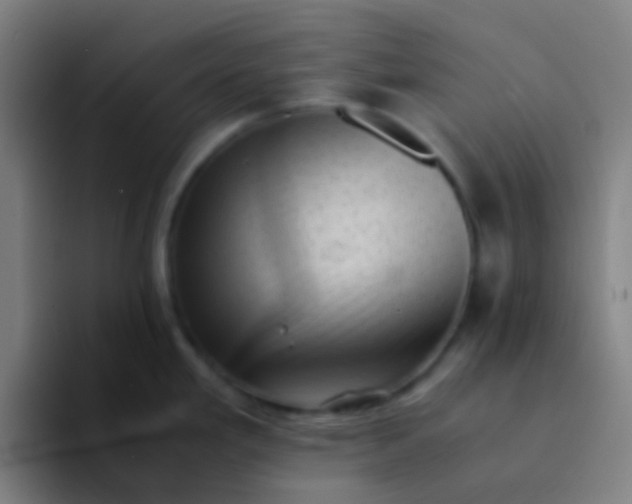 X0000094341293200711162002