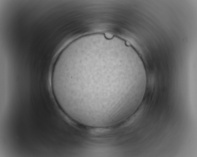 X0000094341294200711162002