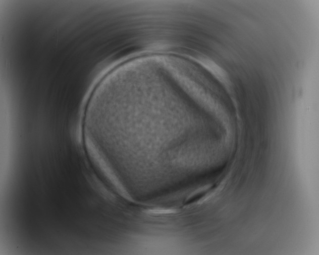 X0000094341296200711162002