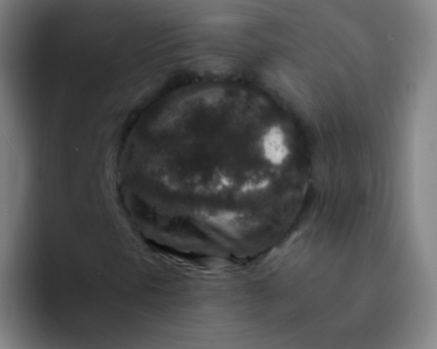 X0000094341297200711162002