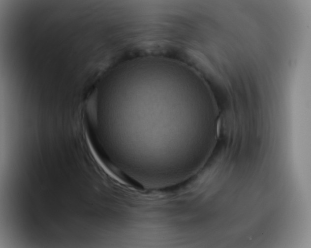 X0000094341298200711162002