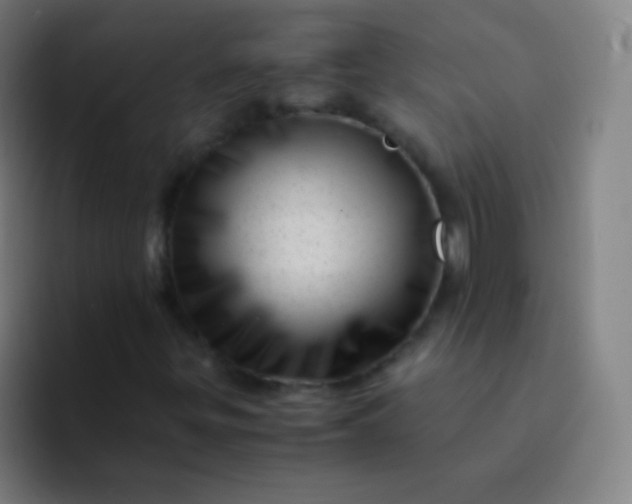 X0000094341299200711162002