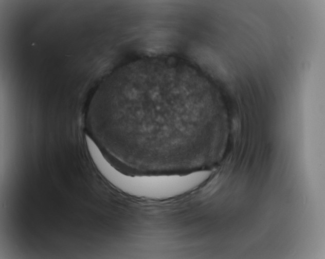 X0000094341300200711162002