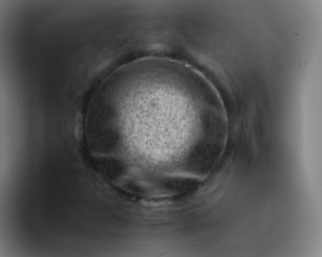 X0000094341301200711162002