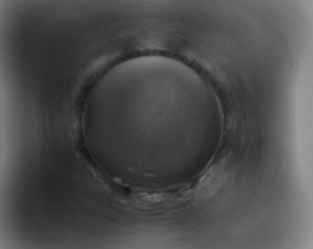 X0000094341303200711162002