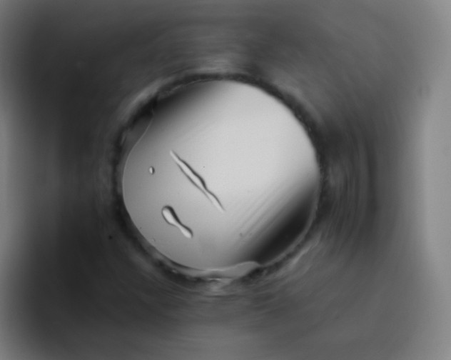 X0000094341304200711162002