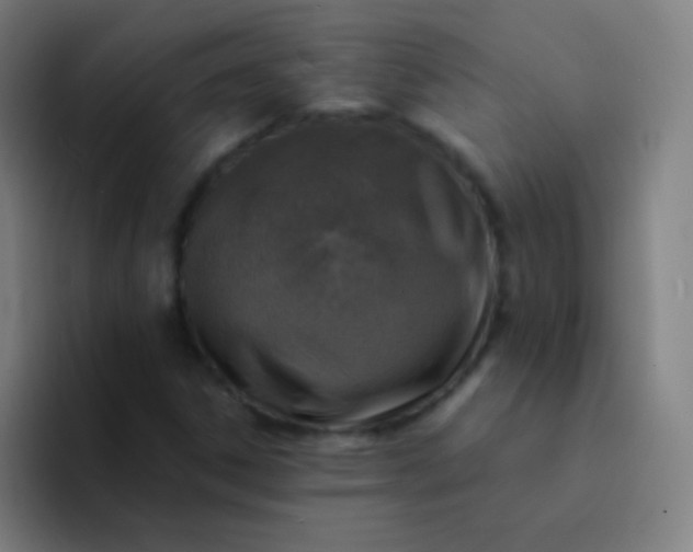 X0000094341306200711162002