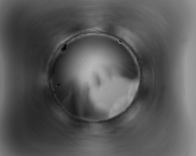 X0000094341308200711162002