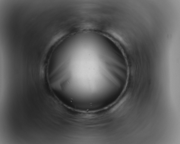 X0000094341309200711162002