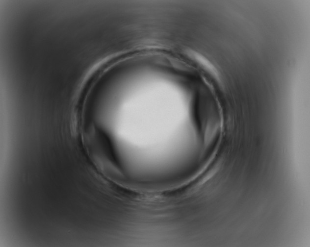 X0000094341310200711162002