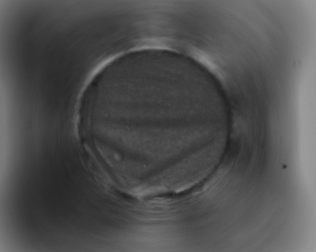 X0000094341312200711162002