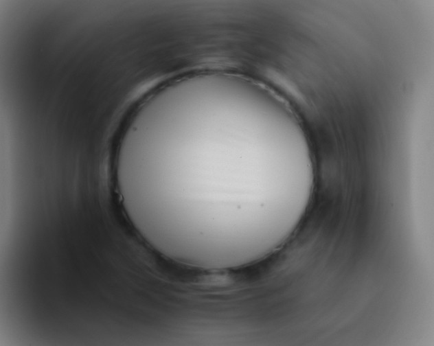 X0000094341315200711162002