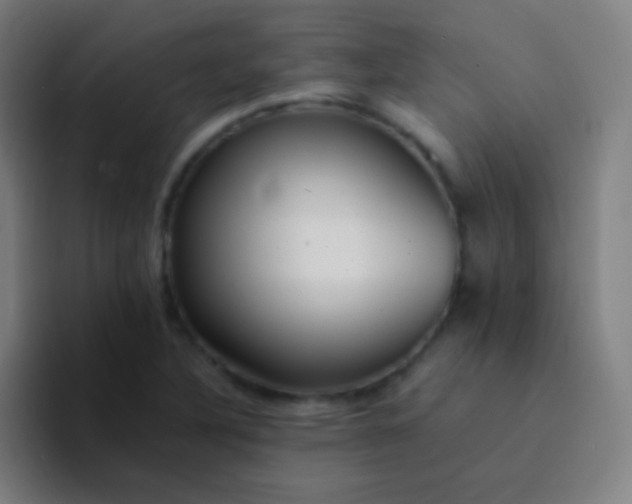 X0000094341316200711162002