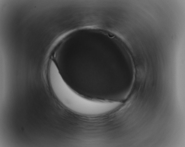 X0000094341319200711162002