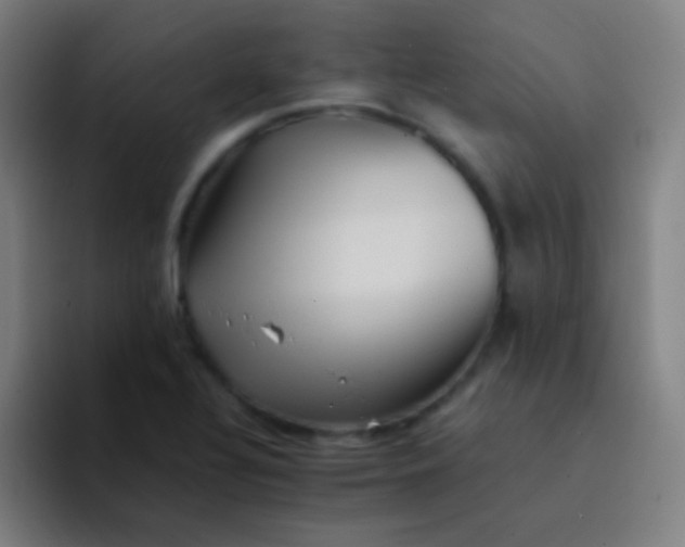 X0000094341320200711162002