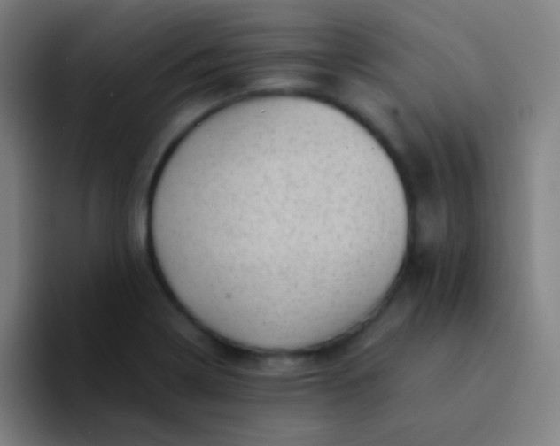 X0000094341322200711162002