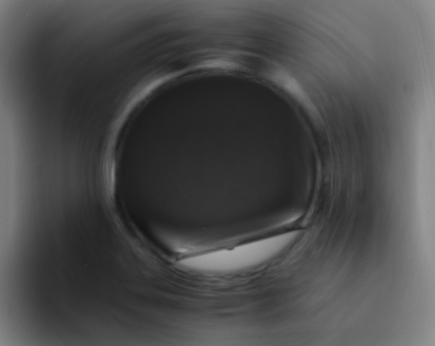 X0000094341323200711162002