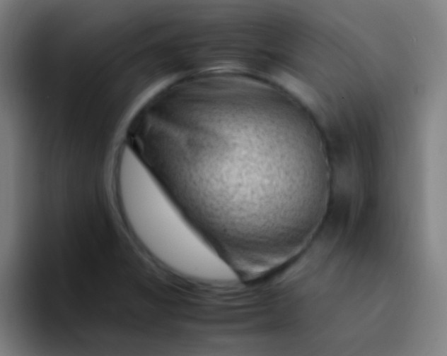 X0000094341325200711162002