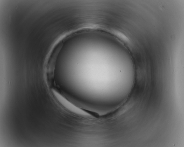 X0000094341326200711162002