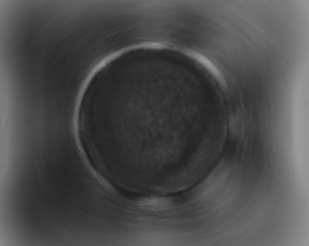 X0000094341327200711162002