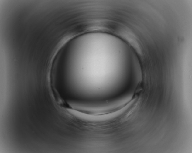 X0000094341330200711162002