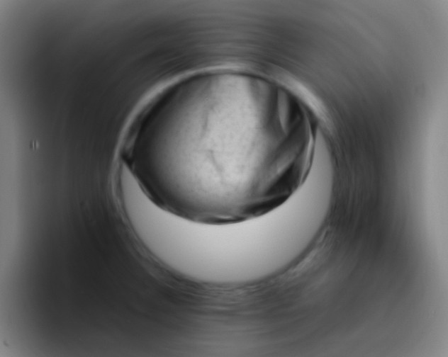 X0000094341332200711162002