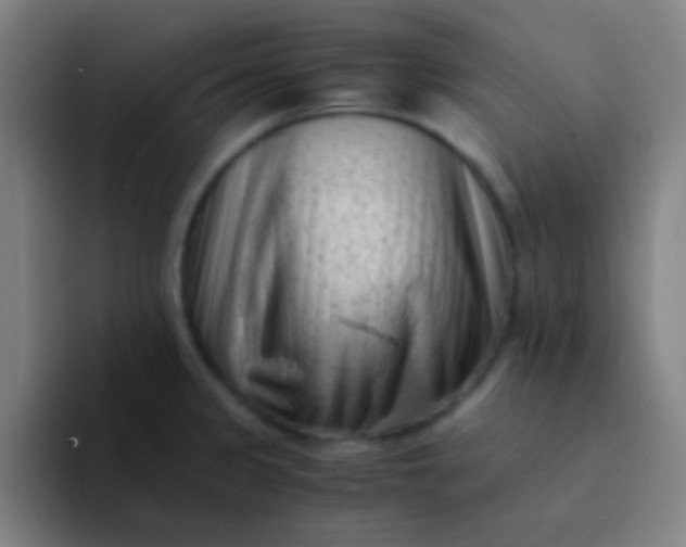 X0000094341333200711162002