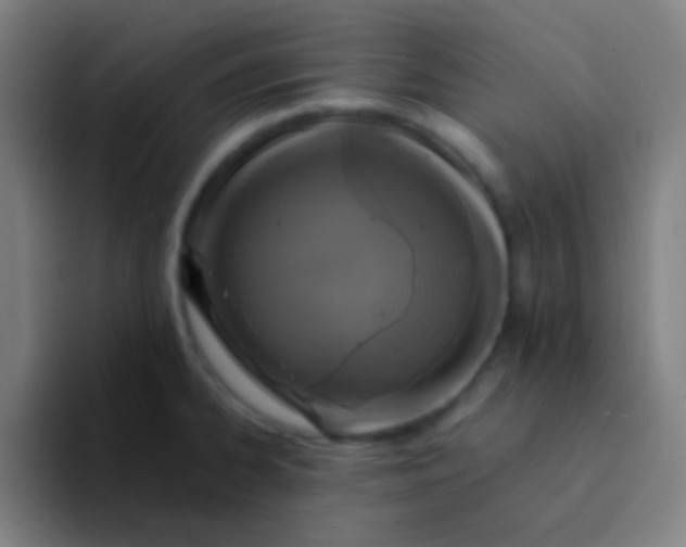 X0000094341334200711162002