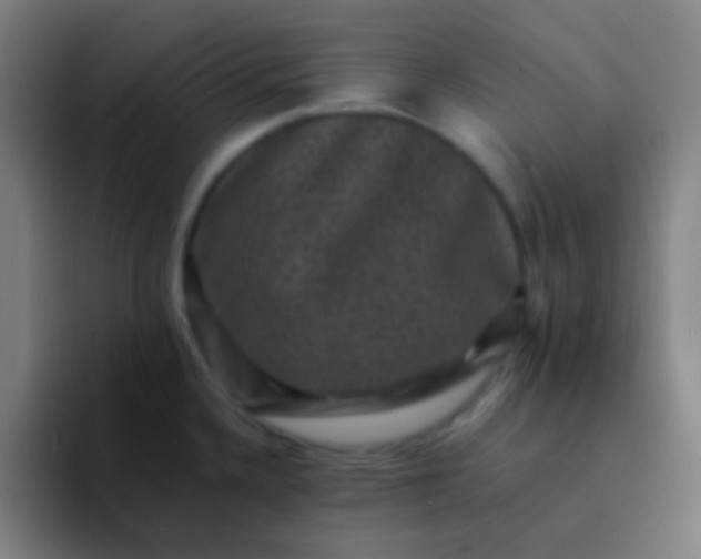 X0000094341336200711162002