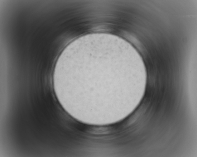 X0000094341338200711162002