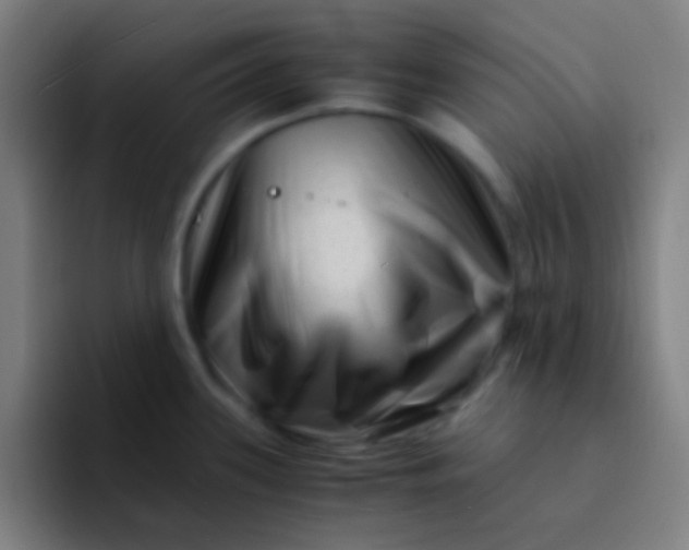 X0000094341339200711162002