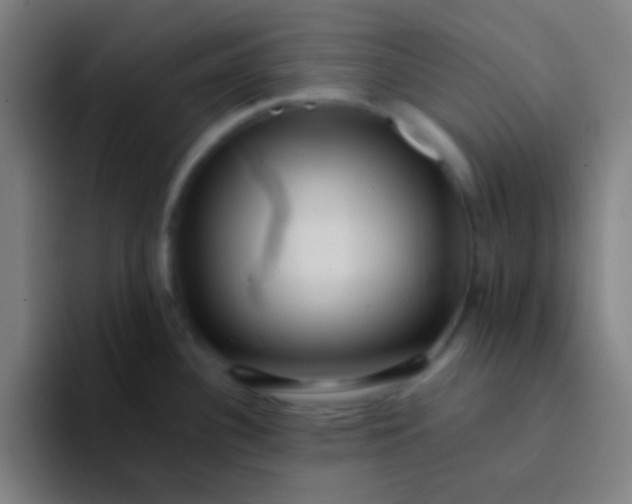 X0000094341340200711162002