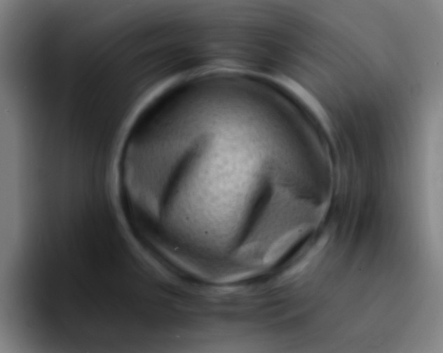 X0000094341341200711162002