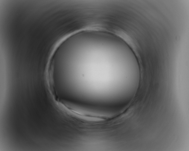 X0000094341344200711162002