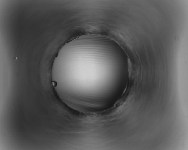 X0000094341345200711162001