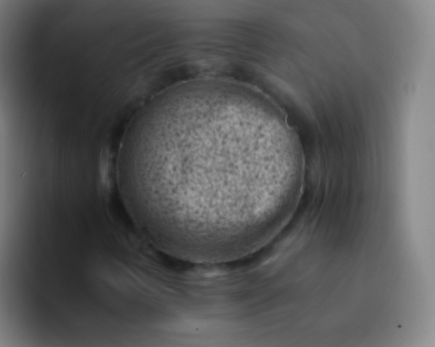 X0000094341346200711162001