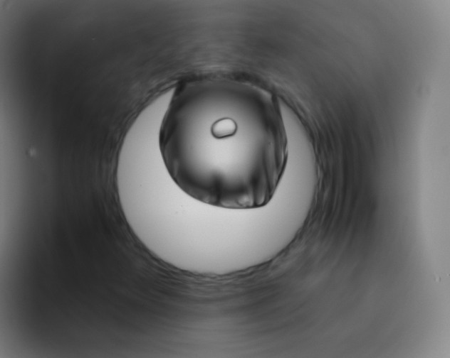 X0000094341348200711162001