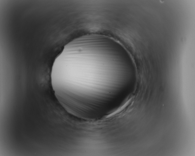 X0000094341349200711162001