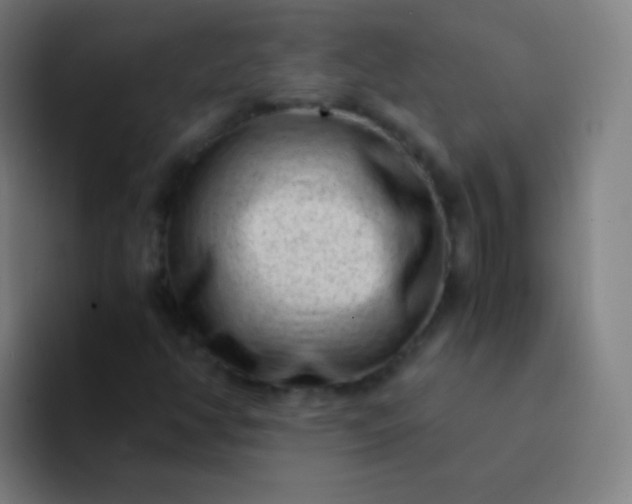 X0000094341350200711162001