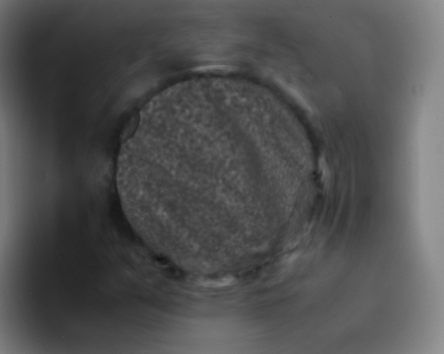 X0000094341351200711162001