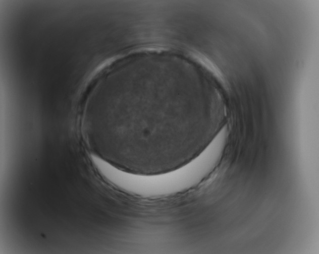 X0000094341352200711162001