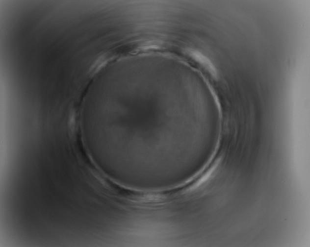 X0000094341353200711162001