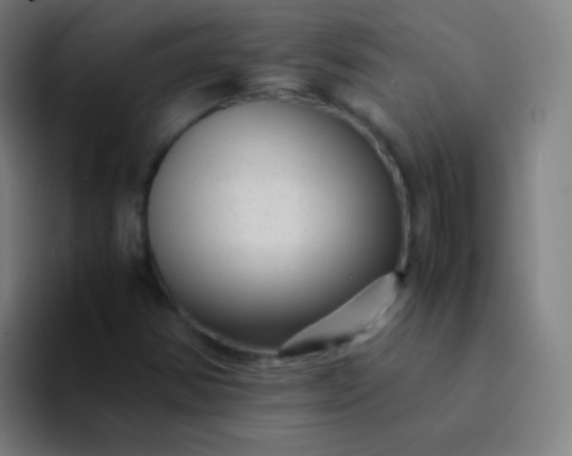 X0000094341354200711162001