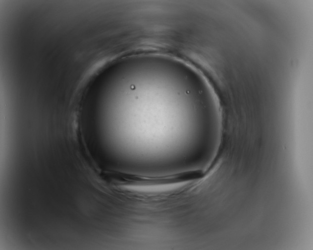 X0000094341355200711162001