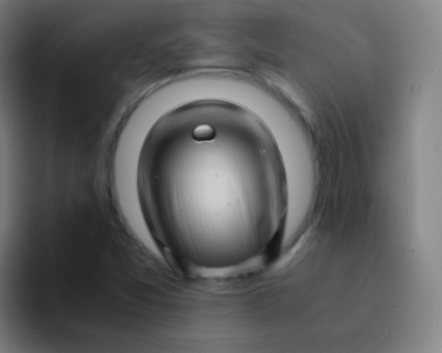 X0000094341357200711162001