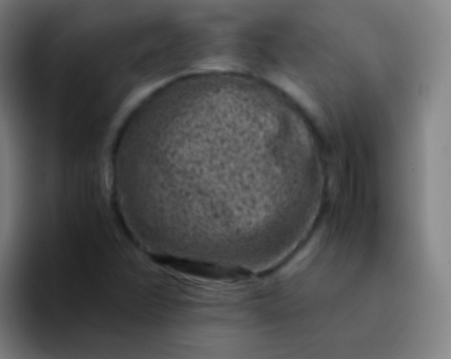 X0000094341358200711162001