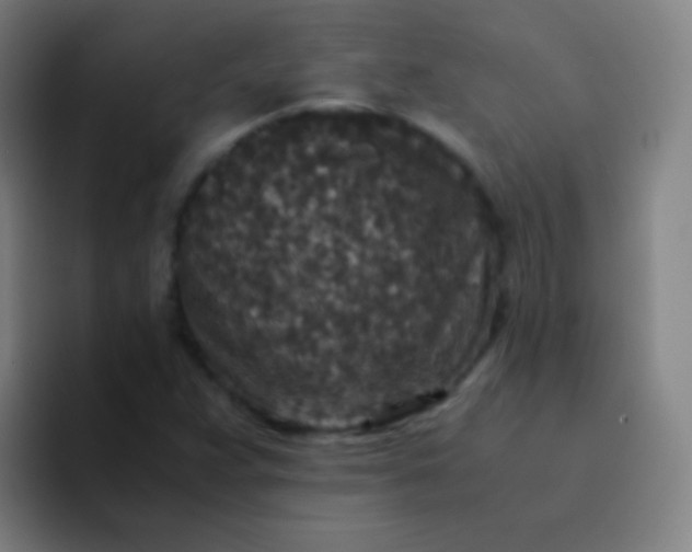 X0000094341359200711162001