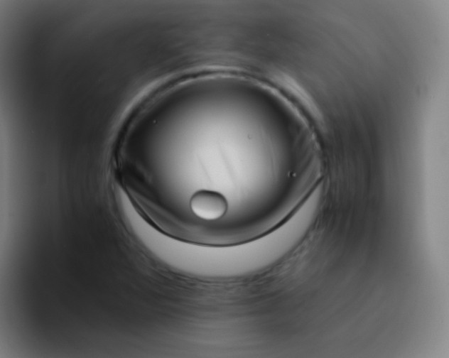 X0000094341360200711162001